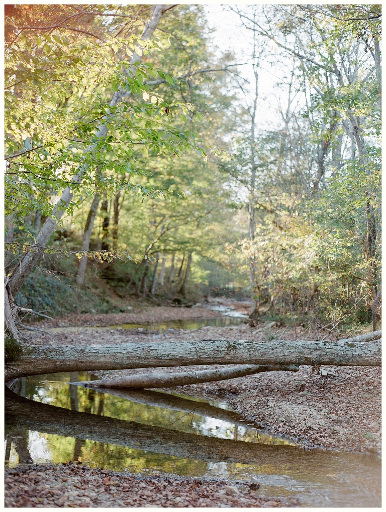 Gallatin Fall Engagement Session