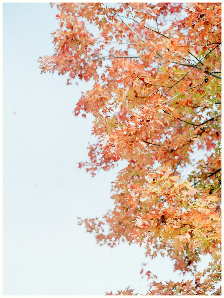 East Ivy Mansion | Nashville Wedding Photographer | Fun-Fall-Romantic-Film